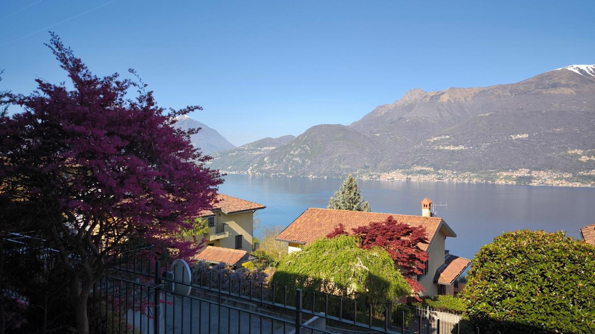 Apartment With Garden And Terrace Beautiful Lake View Bellano Bagian luar foto